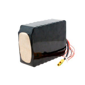 Акумуляторна збірка 6S12P Molicel P42A 50400mAh