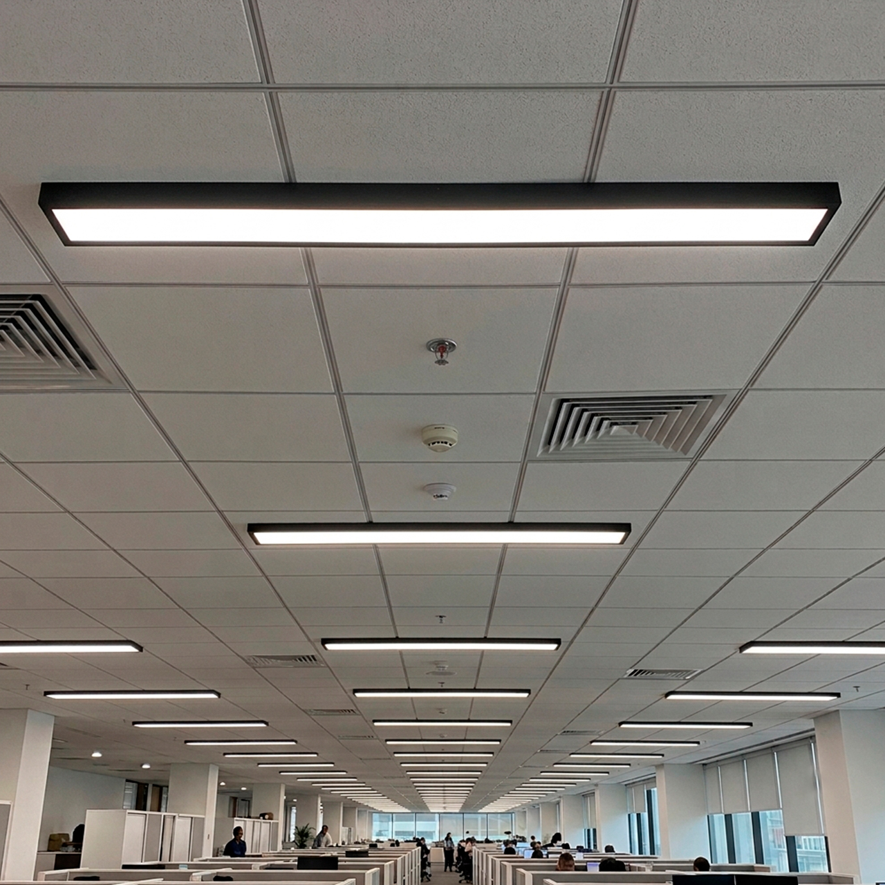 LED-FX(1.2)-36-50(black)P_4