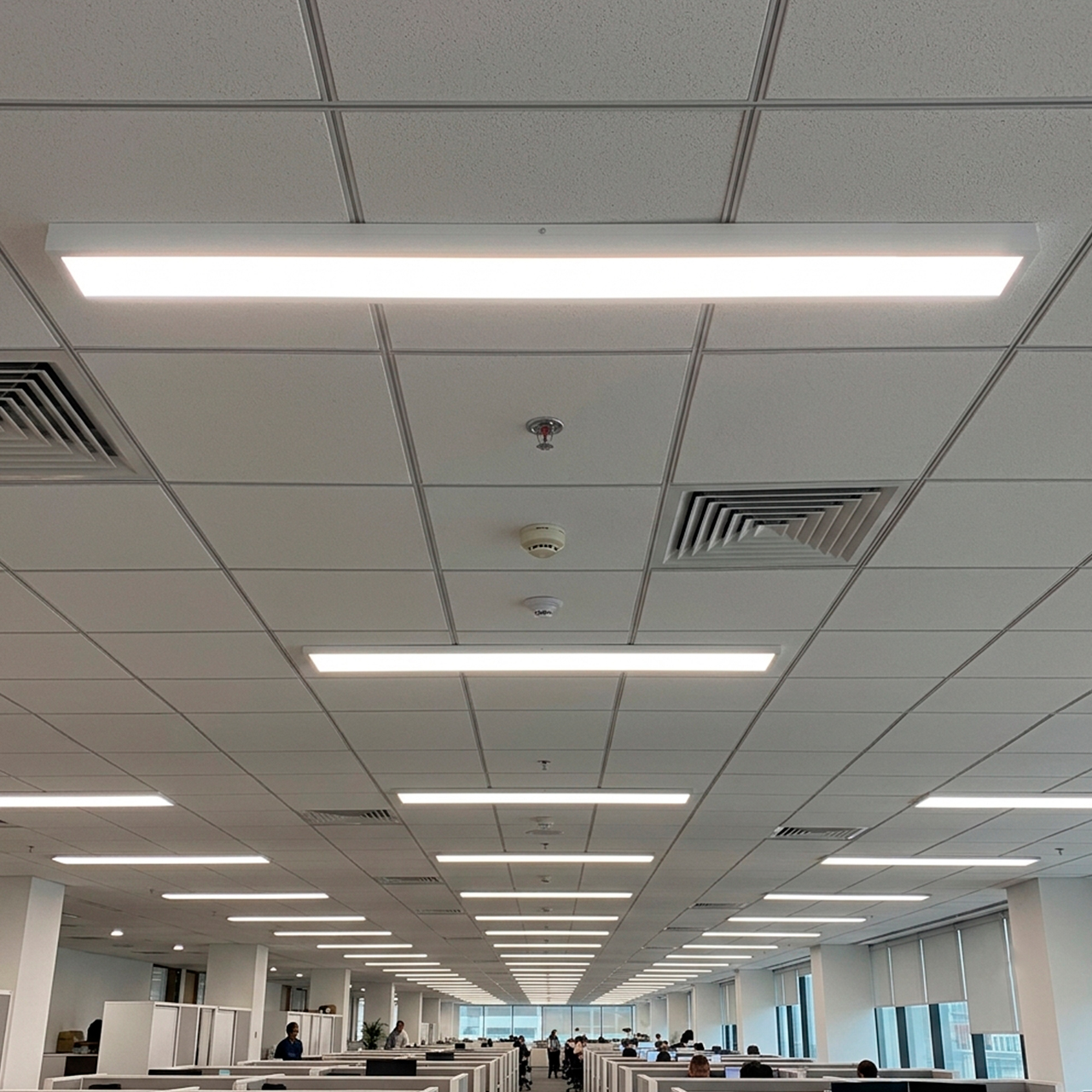 LED-FX(1.2)-36-50(white)P_4